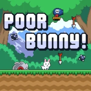Poor Bunny