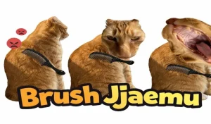 Brush Jjaemu