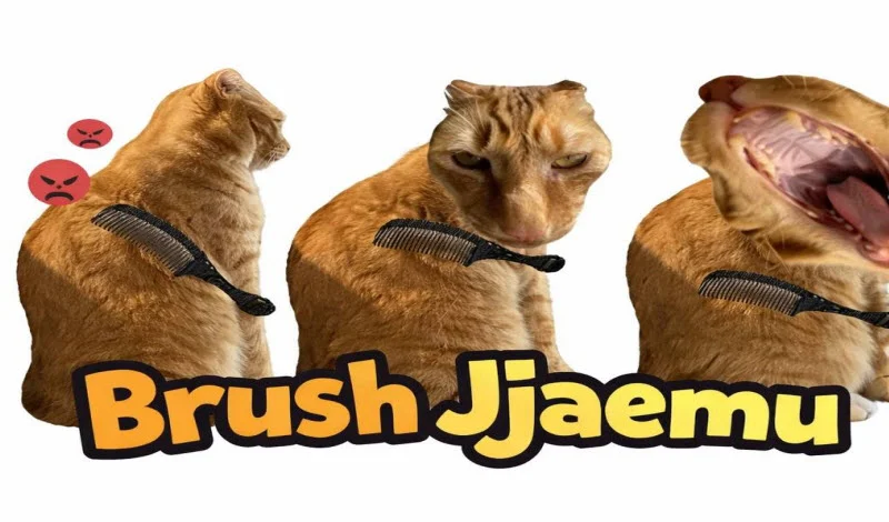 Brush Jjaemu
